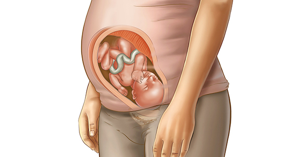 33 Weeks Pregnant: Symptoms, Development & Cramps